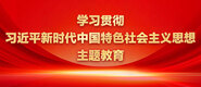 男人鸡巴插女人逼视频网址学习贯彻习近平新时代中国特色社会主义思想主题教育_fororder_ad-371X160(2)